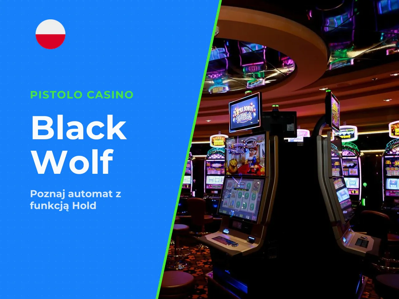 Ostatnia aktualizacja lipiec 2026 Black Wolf